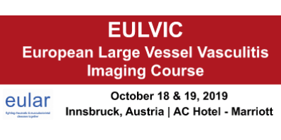 Stipendien für EULVIC Imaging-Kurs